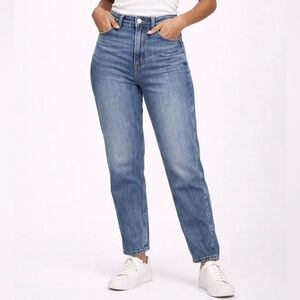 Hollister High Rise Mom Relaxed Jeans Size 8 Vintage Wash